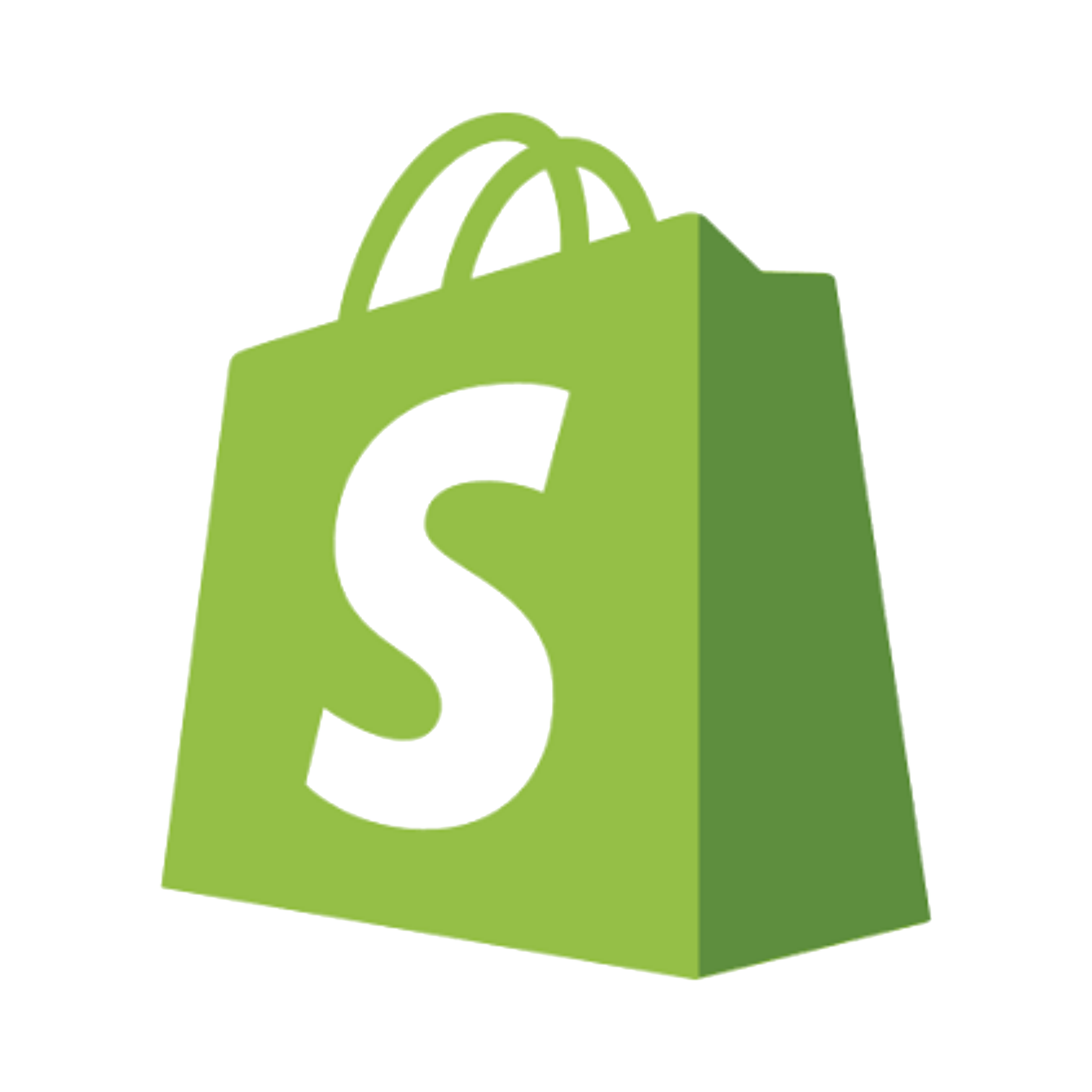 Shopify Themes